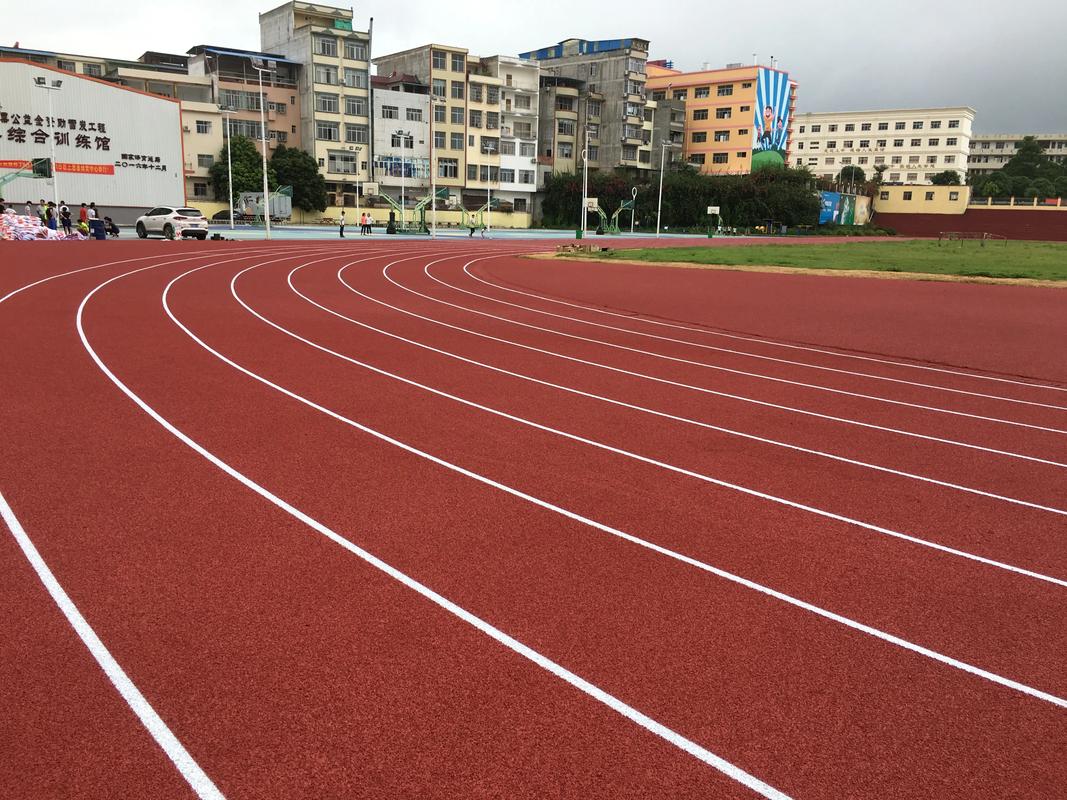 海口市学校塑胶跑道塑胶跑道材料 - 厂家